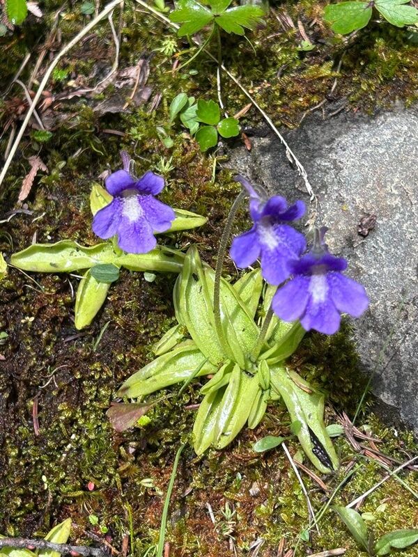 20250804_234231829_iOS