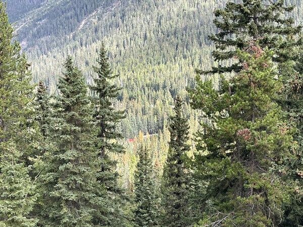 20250923_232125073_iOS