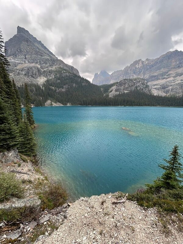 20250915_013145282_iOS