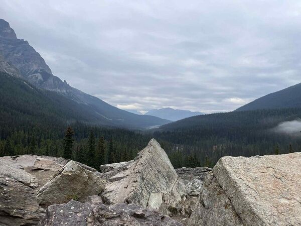 20250916_021055615_iOS