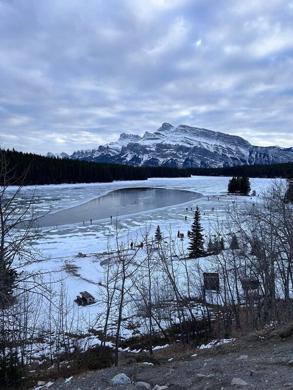 20241230_011442950_iOS