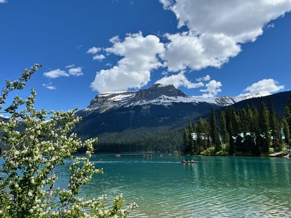 20240621_191120323_iOS