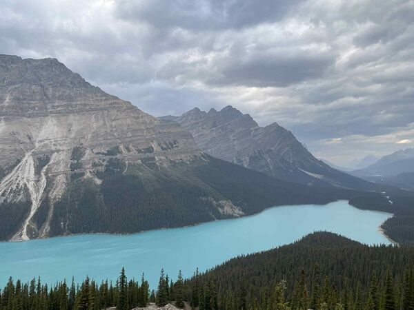 20250930_013452525_iOS