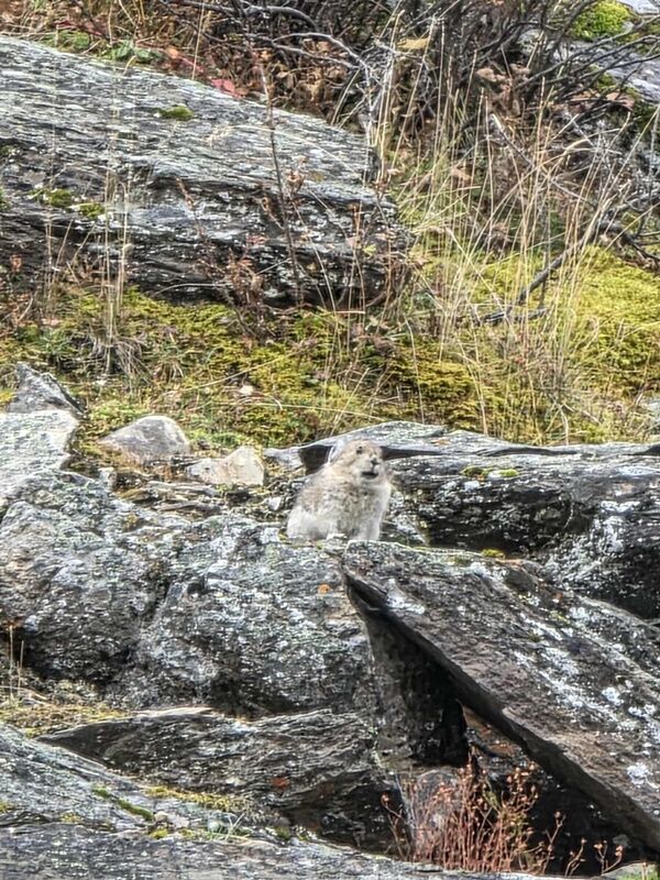 20250928_230912045_iOS