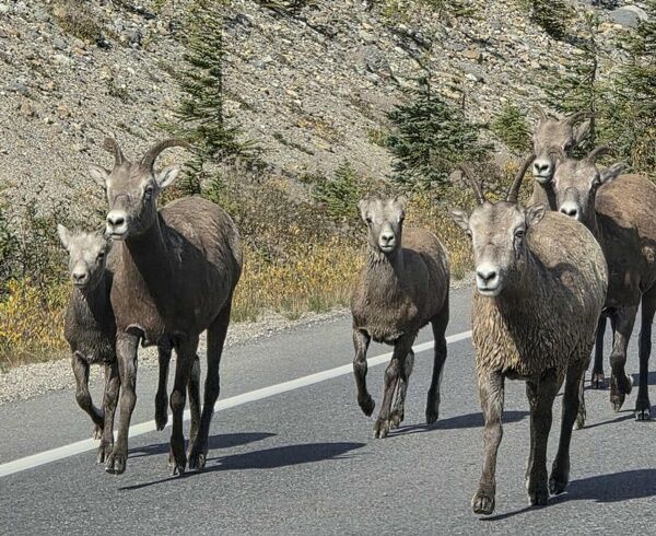 20250921_012558324_iOS