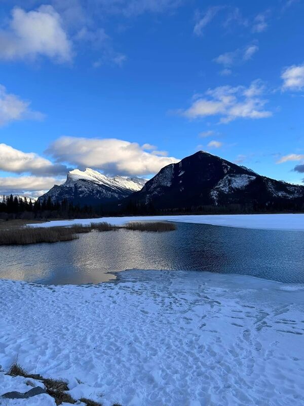 20241228_010823837_iOS