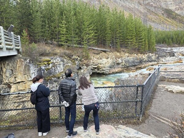 20251006_221042313_iOS