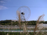 c6045e70.jpg
