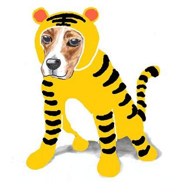 Momo in Tiger