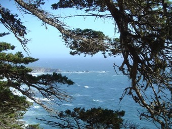 Pacific Coast Highway View