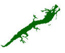 Dragon S