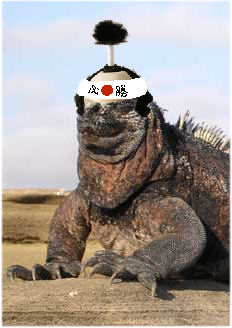 ÆüËÜ¥¬¥é¥Ñ¥´¥¹²½