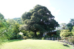 DSC04958