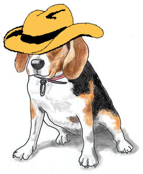 Momo in Cowboy Hat