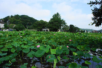 小山田神社