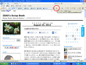 feed(RSS)