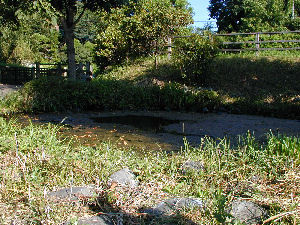 鶴見川源泉3