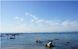 葉山海岸