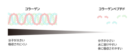 collagen_structure2