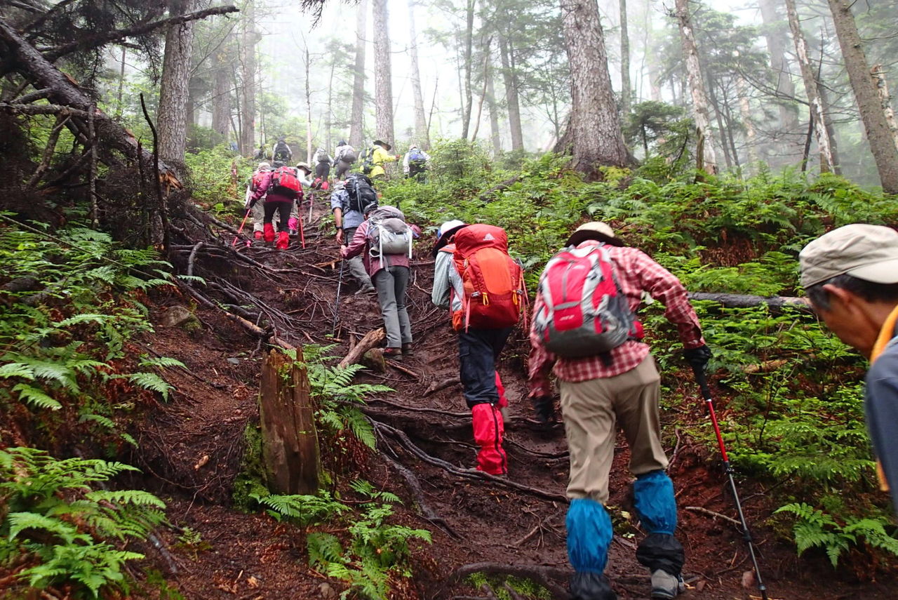 北海道 雌阿寒岳 実施日 7月15 16日 月 火 雨 曇り 晴れ 山梨 山の会