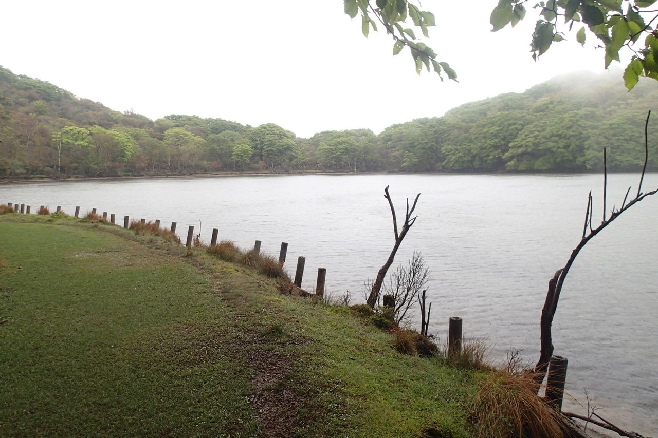天城 八丁池周回 5月18日 土 曇り 雨のち晴れ 山梨 山の会