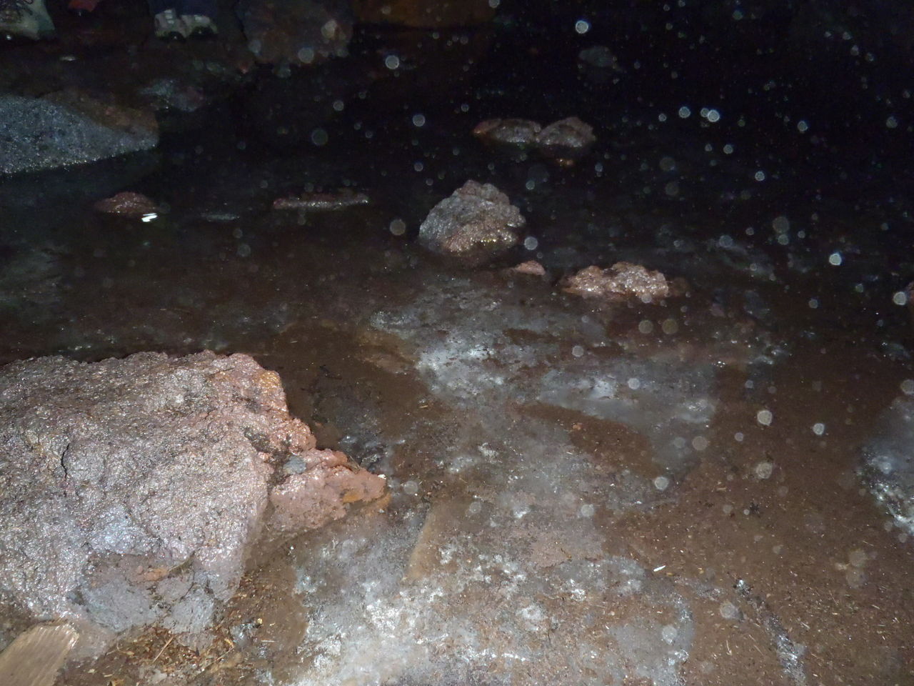 富士山側火山 富士風穴と大室山 1468ｍ 11月15日 雨 曇り 晴れ 山梨 山の会