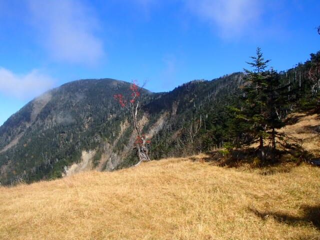 加加森山 光岳 千頭山 池口岳 深南部を歩く その14 11月2 4日 山梨 山の会
