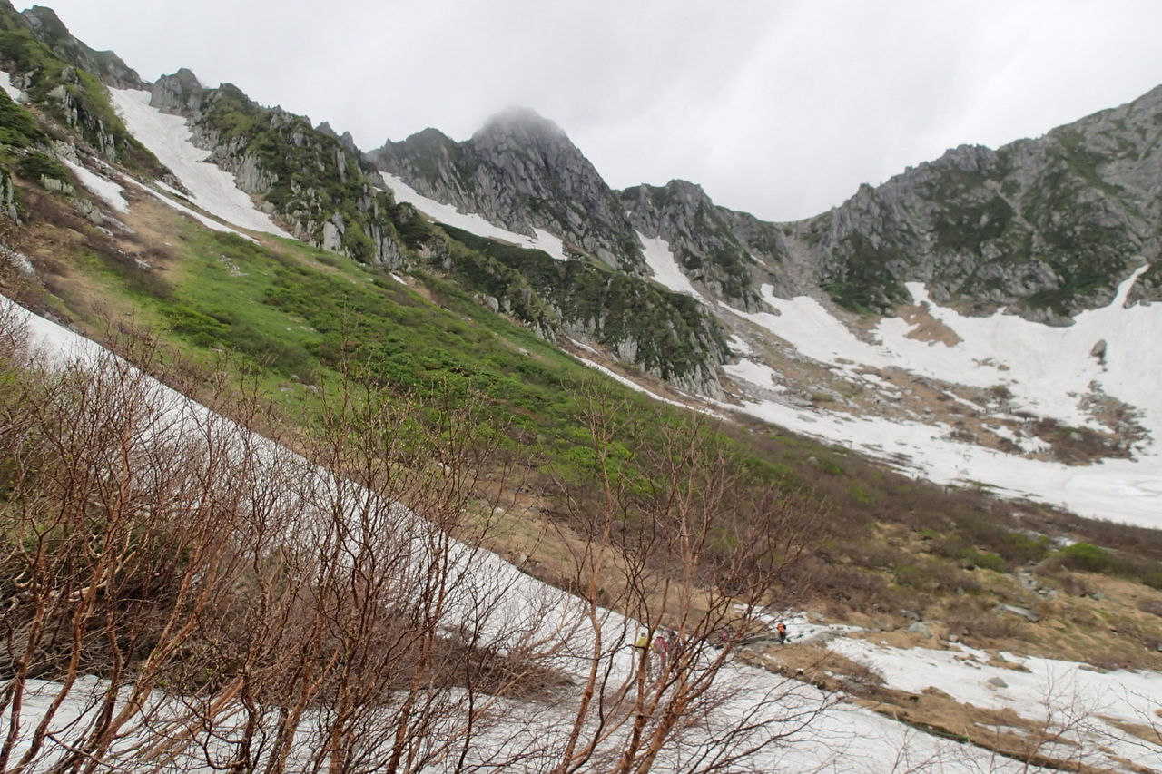 三ノ沢岳を変更 木曽駒ヶ岳 2956ｍ へ 7月13日 曇り 雨 山梨 山の会