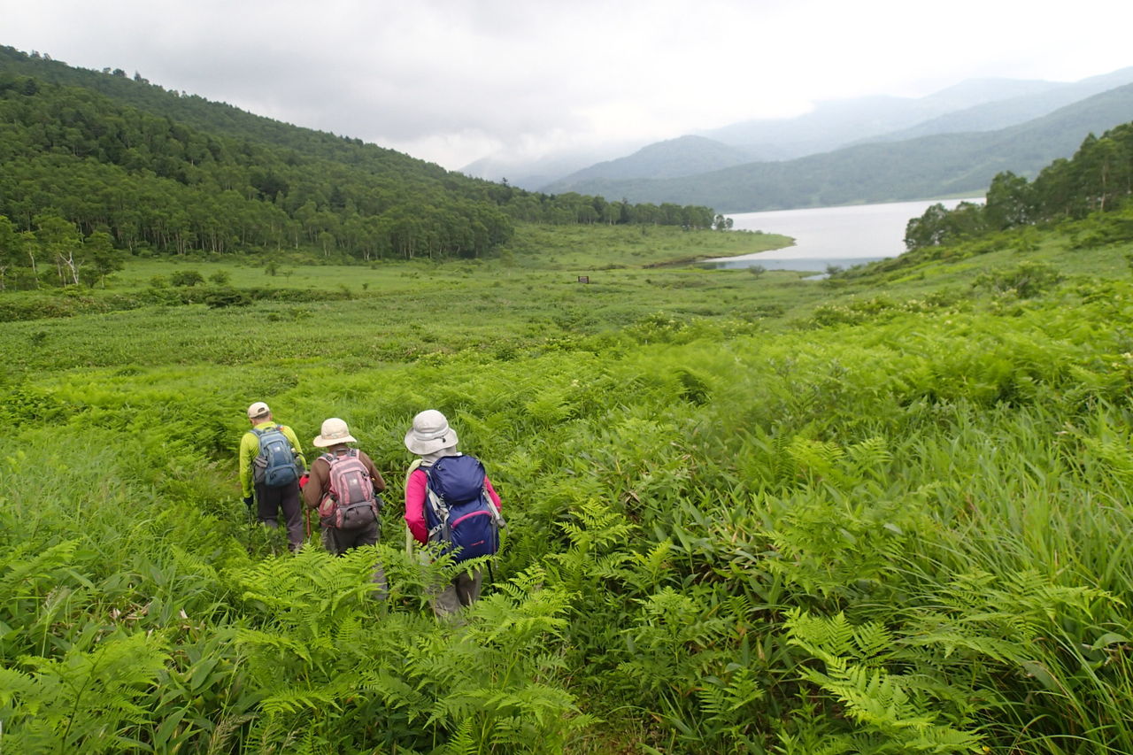 野反湖 エビ山 1744ｍ 三壁山 1930ｍ カモシカ平 7月25 26日 曇りのち雨 曇り 山梨 山の会