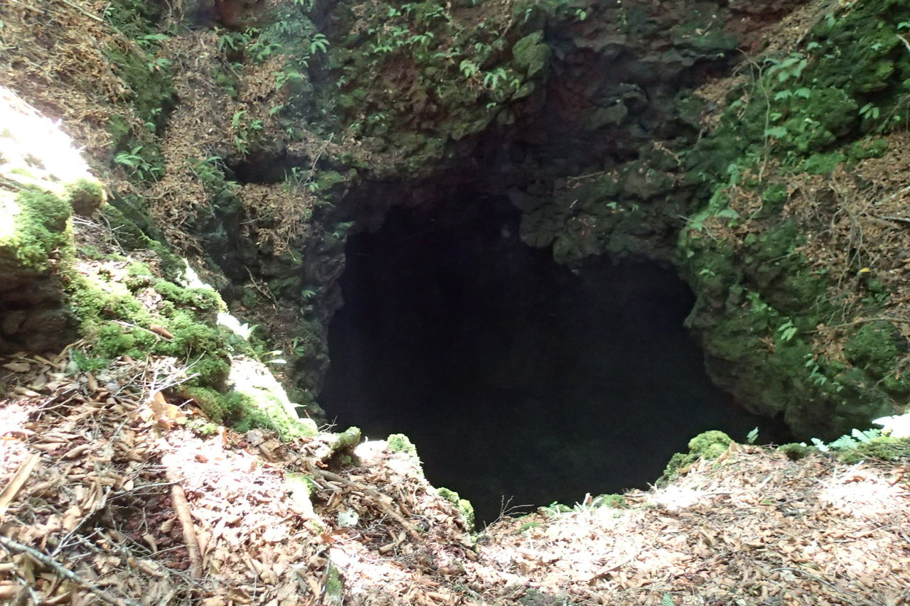 青木ヶ原 大室山 精進湖登山道 富士風穴 ブナ広場 本栖風穴 石塚火口 大室山 7月15日 日 晴れ 山梨 山の会