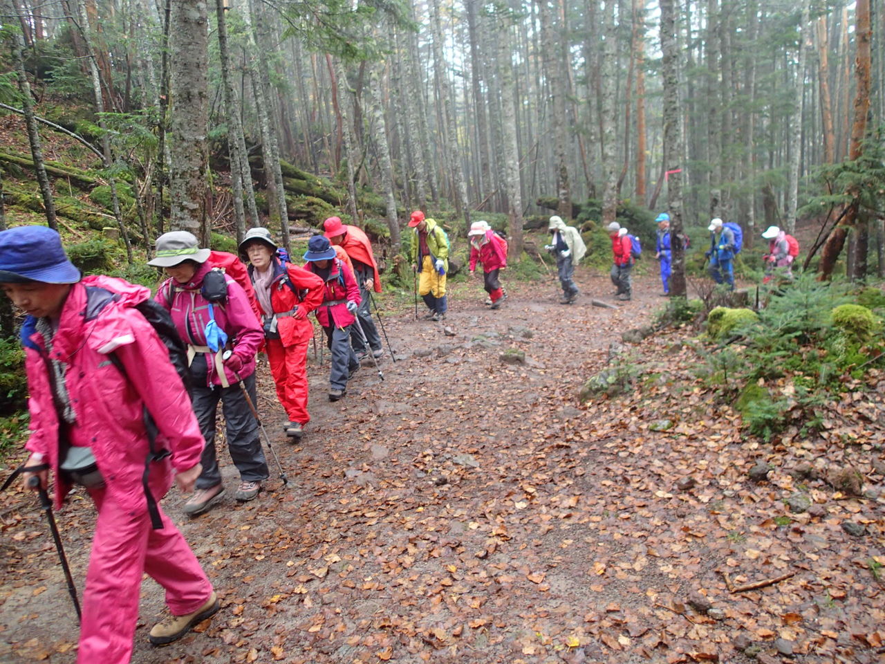 日光白根山 戦場ヶ原 10月1 2日 曇り 雨 晴れ 山梨 山の会 日光白根山 戦場ヶ原 10月1 2日 曇り 雨 晴れ 山梨 山の会