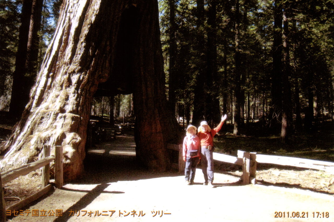 アメリカ国立公園10大絶景巡りハイキング 4 山梨 山の会 随想録 アメリカ国立公園10大絶景巡りハイキング 4 山梨 山の会 随想録