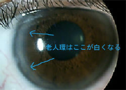 BlogPaint