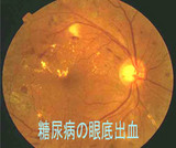 911d5f35.jpg