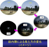 9d12668f.jpg