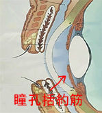 BlogPaint