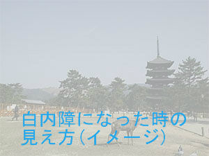 BlogPaint