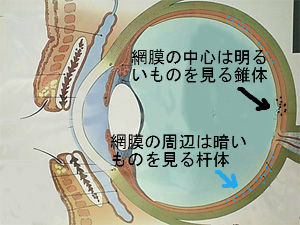 BlogPaint