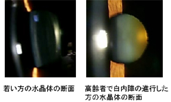 ¿å¾½ÂÎÏ·¼ã