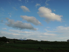 DSCN0073