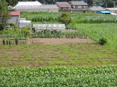 DSCN0036