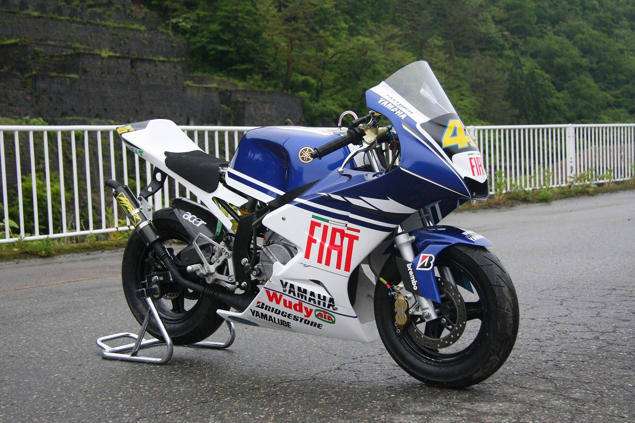 NSR50 カウル TZ250タイプ