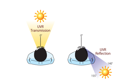 P-UV3