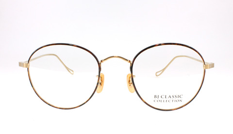 bj plem116 g