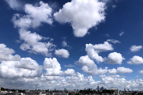 雲