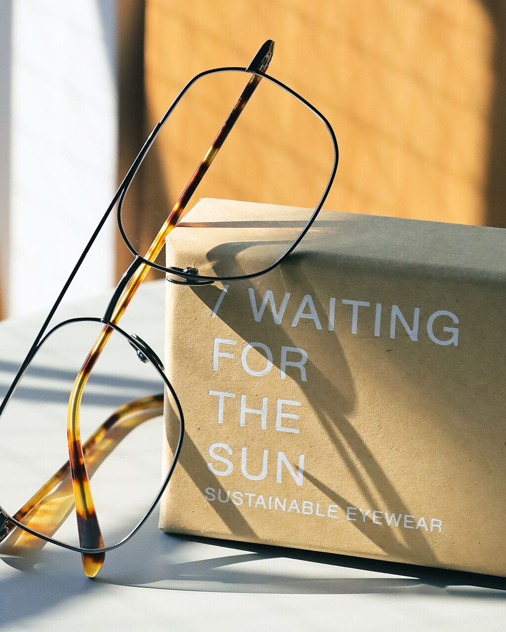 WAITING FOR THE SUN 
