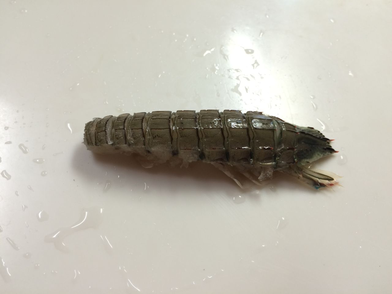 ガサエビ しゃこ のお刺身 管理栄養士 健康ライター 志水あいの食育日記 ガサエビ しゃこ のお刺身 管理栄養士 健康ライター 志水あいの食育日記