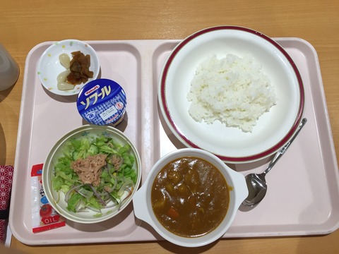 妊娠糖尿病の妊婦の出産 管理栄養士 健康ライター 志水あいの食育日記 妊娠糖尿病の妊婦の出産 管理栄養士 健康ライター 志水あいの食育日記