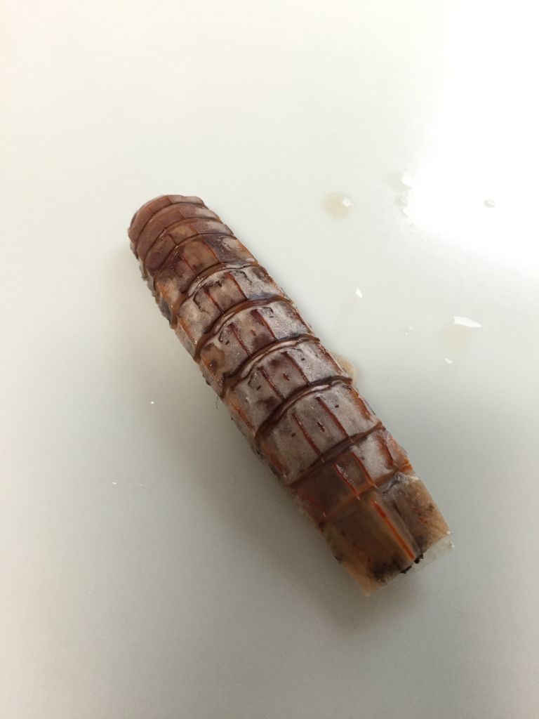 シャコのゆで方 管理栄養士 健康ライター 志水あいの食育日記 シャコのゆで方 管理栄養士 健康ライター 志水あいの食育日記