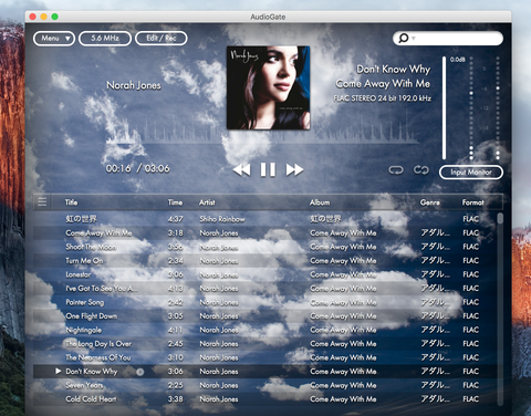 AudioGate4 DSD5.6MH
